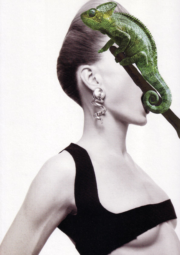 Ryan Dunn. Chameleon