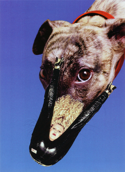 Ryan_Dunn_Kinky_Canine_72dpi